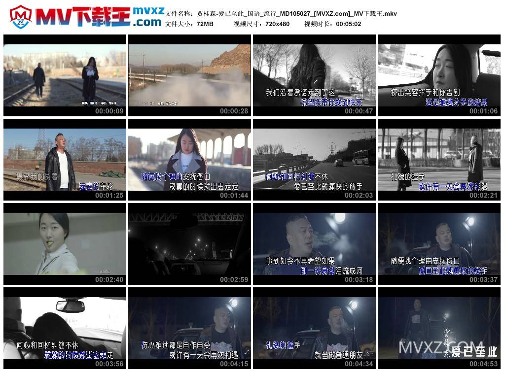 贾桂森-爱已至此_国语_流行_MD105027